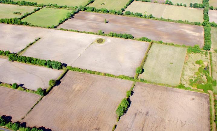 Recherche de terrains à lotir